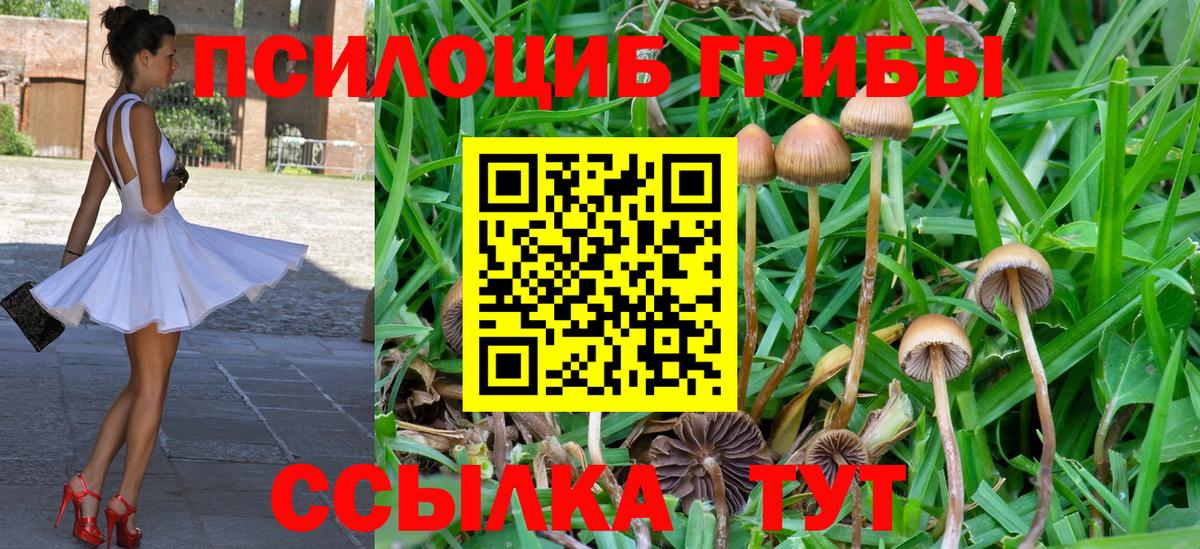 Псилоцибиновые грибы мухоморы Всеволожск